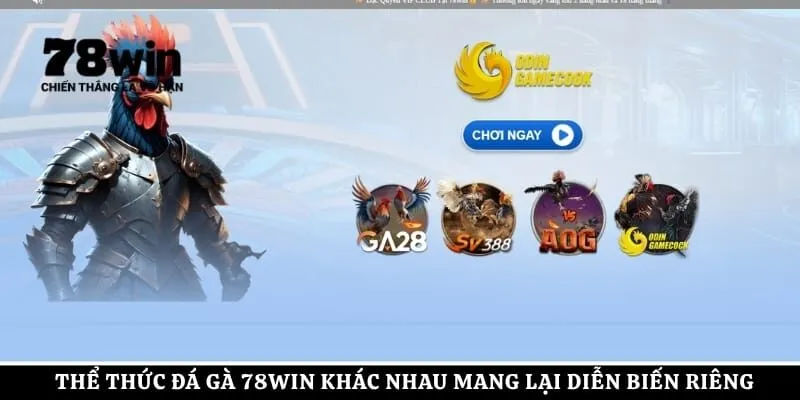 Thể thức đá gà 78Win khác nhau mang lại diễn biến riêng